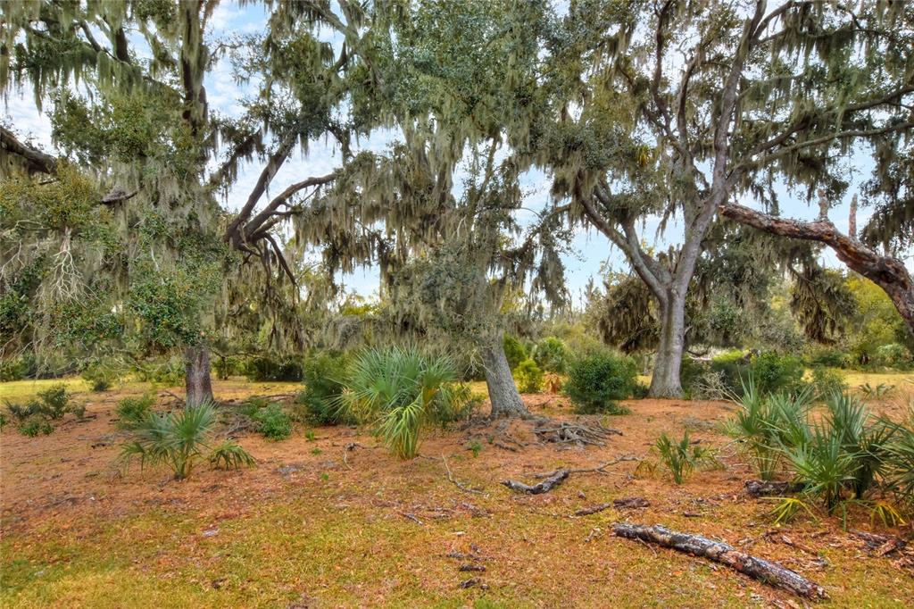 Property for sale at 0 CARLTON LAKE ROAD, WIMAUMA, FL, 33598