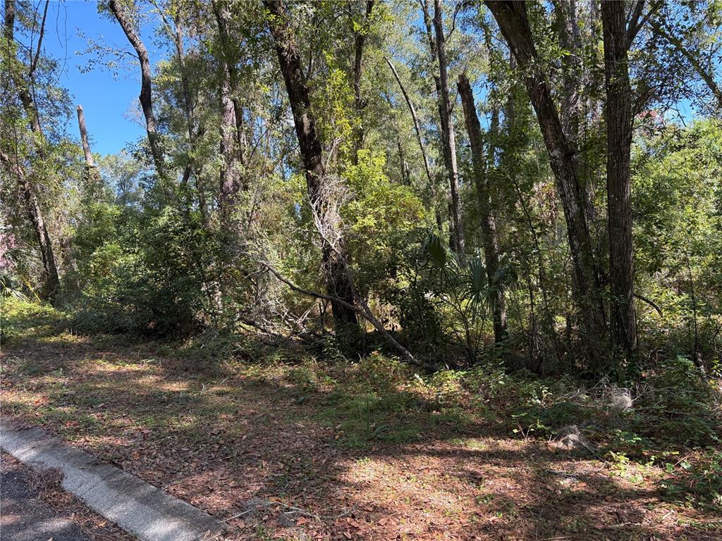 Property for sale at 1222 CLOVER TERRACE, INVERNESS, FL, 34452