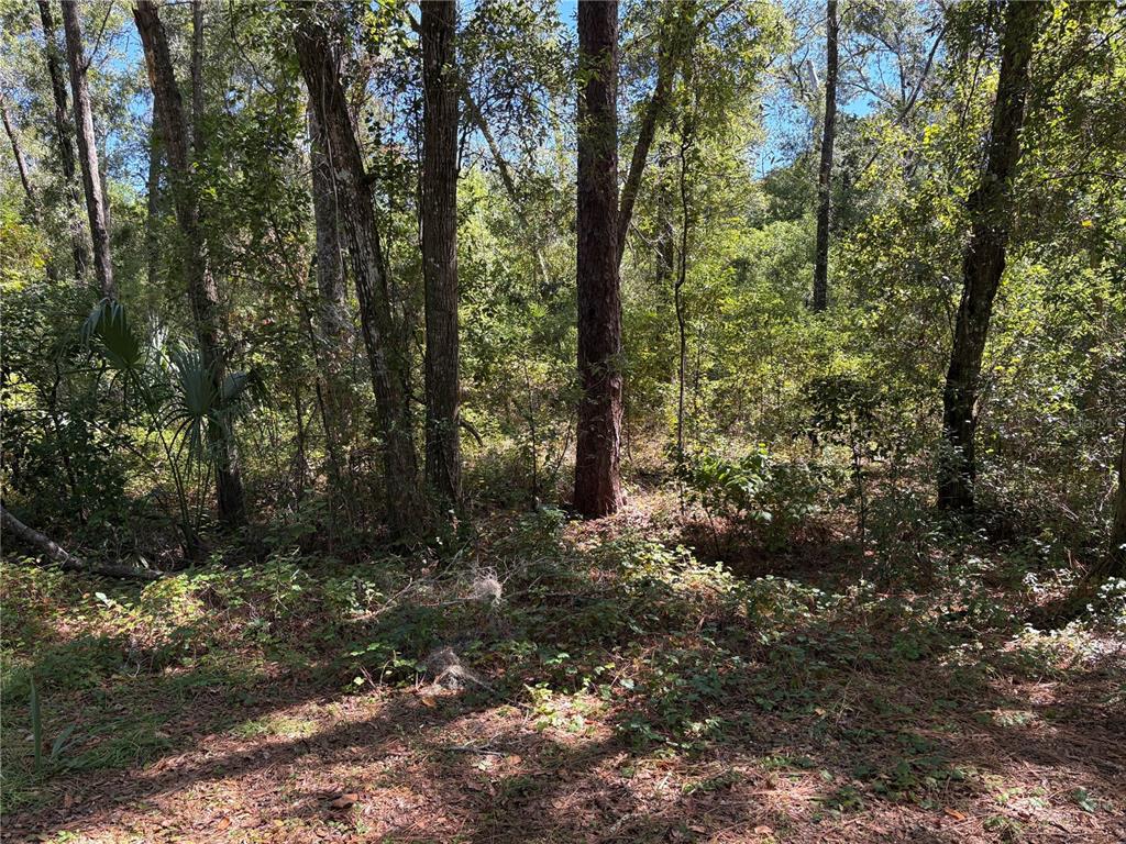 Property for sale at 1222 CLOVER TERRACE, INVERNESS, FL, 34452