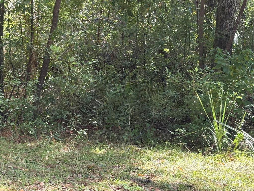 Property for sale at 1222 CLOVER TERRACE, INVERNESS, FL, 34452