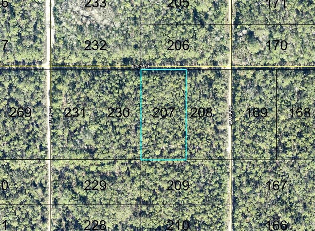 Property for sale at 207 DONNA STREET, HASTINGS, FL, 32145