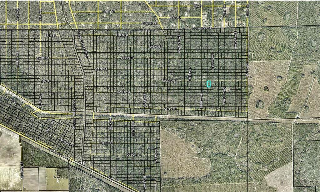 Property for sale at 207 DONNA STREET, HASTINGS, FL, 32145
