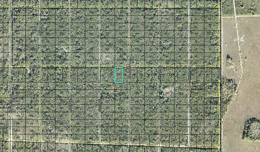 Property for sale at 207 DONNA STREET, HASTINGS, FL, 32145