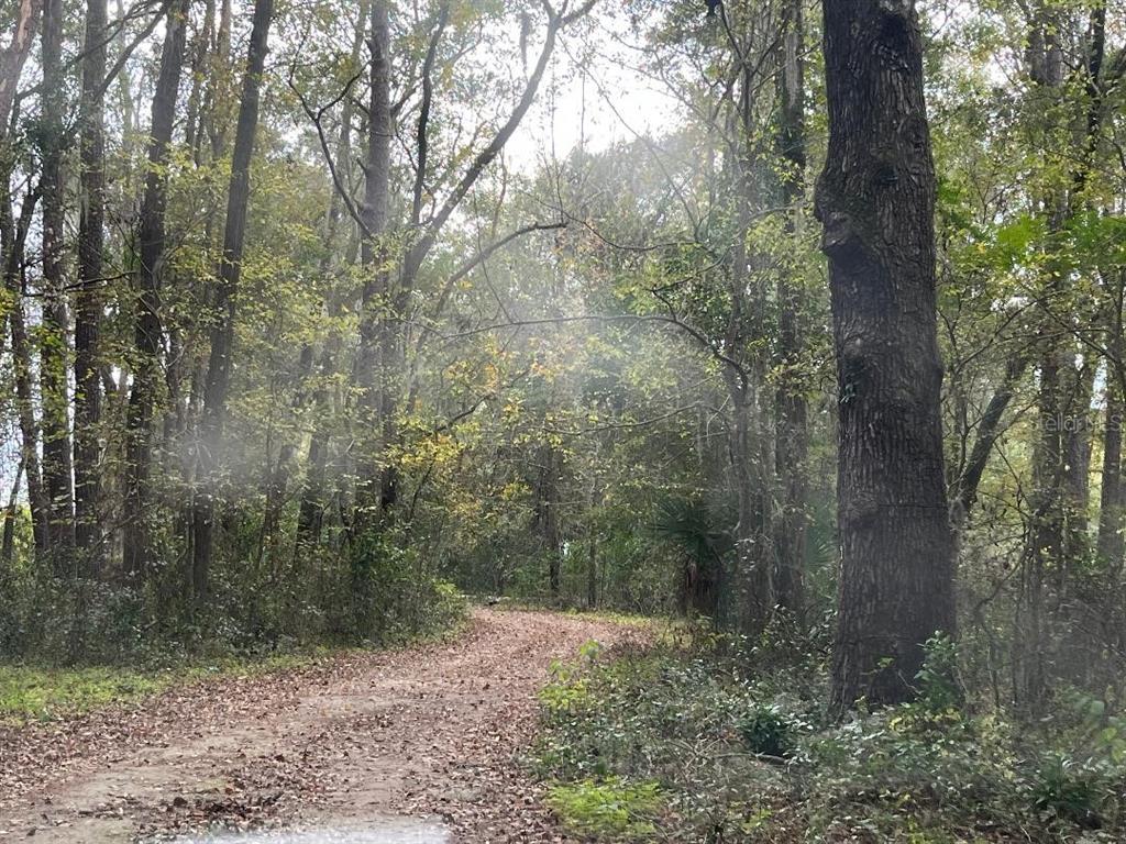 Property for sale at 1602A SW WILLISTON ROAD, GAINESVILLE, FL, 32608