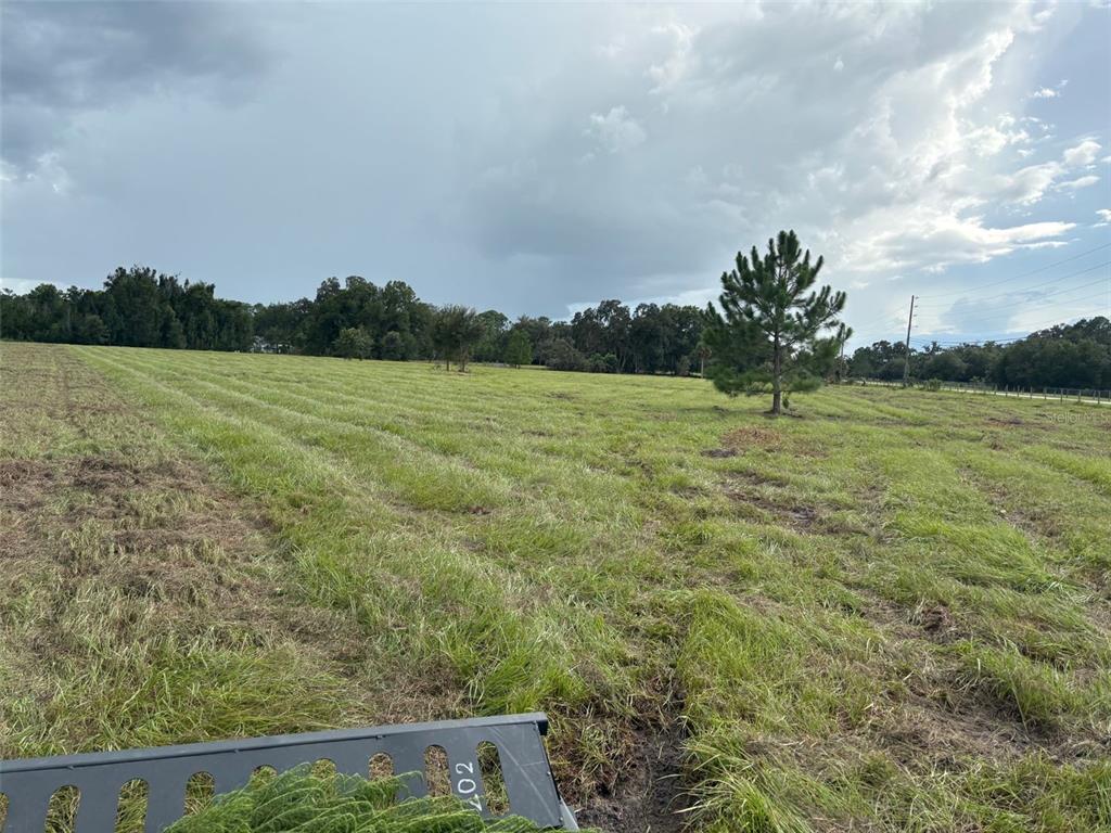 Property for sale at PUMP STATION RD, LAND O LAKES, FL, 34639
