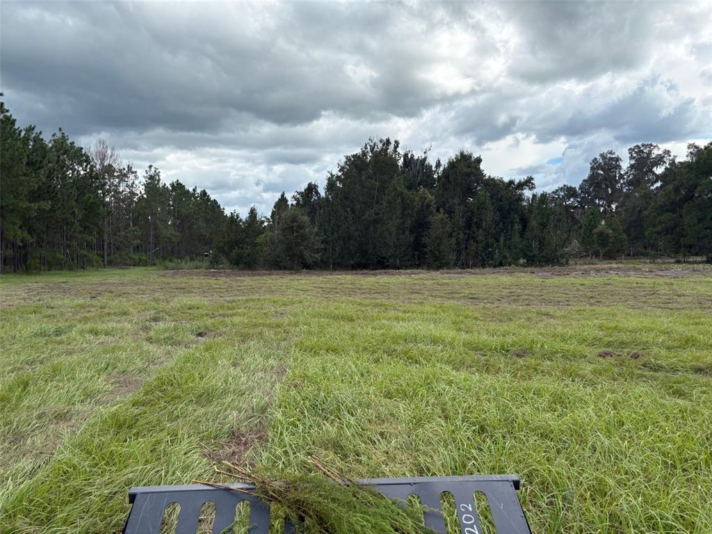 Property for sale at PUMP STATION RD, LAND O LAKES, FL, 34639