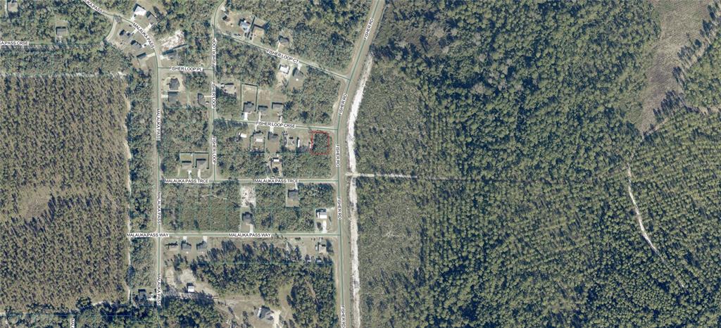 Property for sale at 0 FISHER LOOP COURSE, OCKLAWAHA, FL, 32179