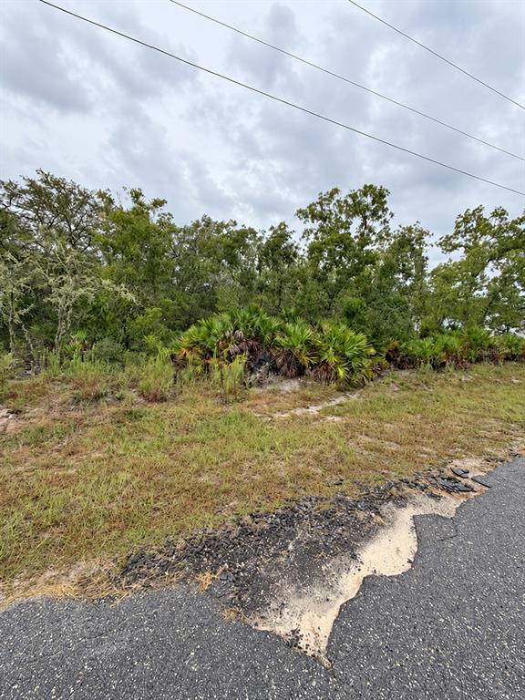 Property for sale at 0 FISHER LOOP COURSE, OCKLAWAHA, FL, 32179