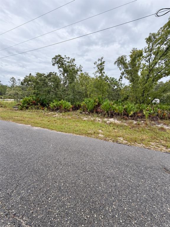 Property for sale at 0 FISHER LOOP COURSE, OCKLAWAHA, FL, 32179