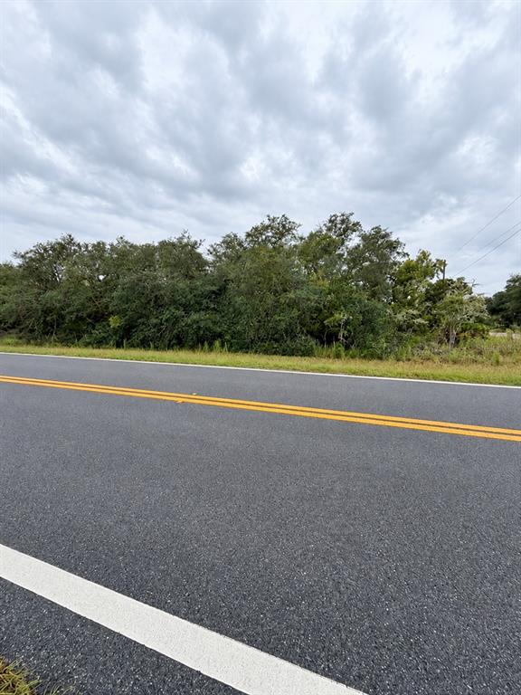 Property for sale at 0 FISHER LOOP COURSE, OCKLAWAHA, FL, 32179