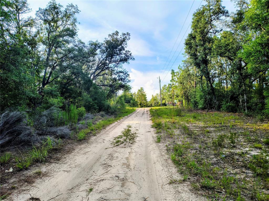 Property for sale at 8821 NE 97TH COURT, BRONSON, FL, 32621