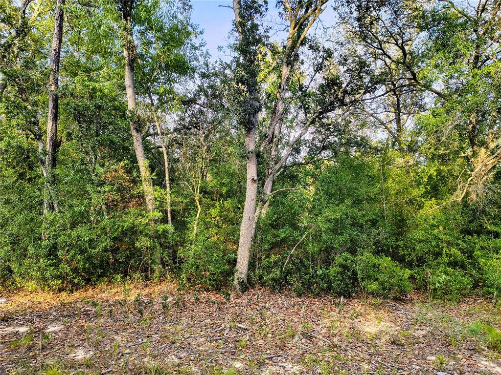 Property for sale at 8821 NE 97TH COURT, BRONSON, FL, 32621