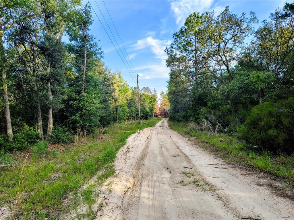 Property for sale at 8821 NE 97TH COURT, BRONSON, FL, 32621