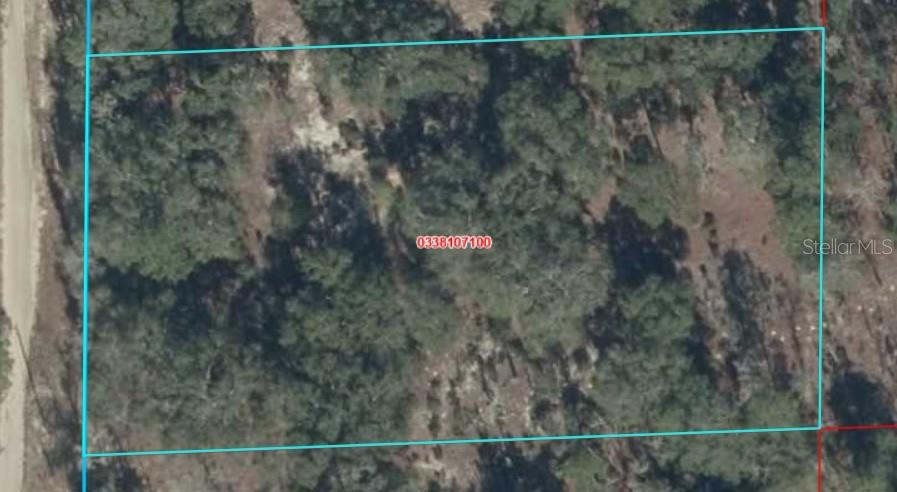Property for sale at 8821 NE 97TH COURT, BRONSON, FL, 32621