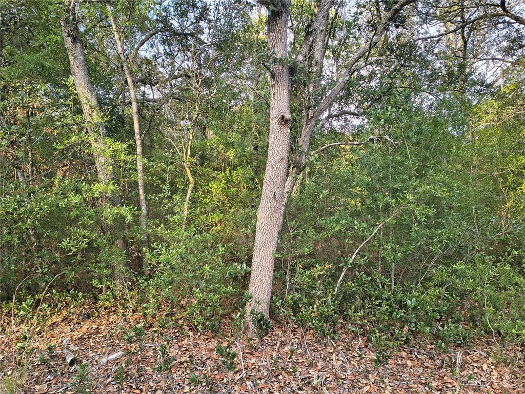 Property for sale at 8821 NE 97TH COURT, BRONSON, FL, 32621