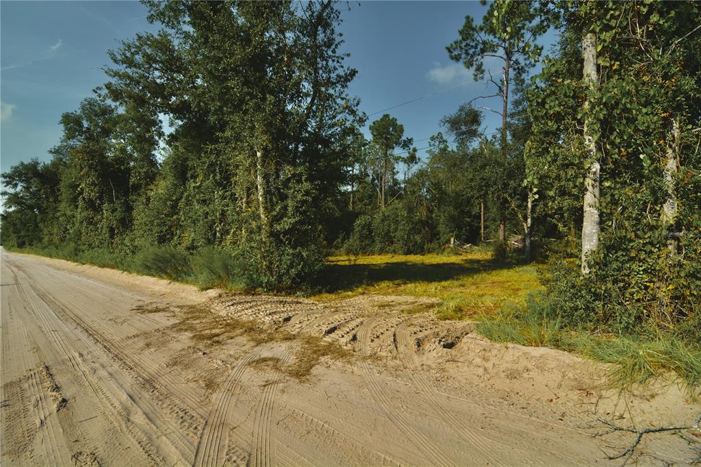 Property for sale at 00 SW 39TH AVE, JASPER, FL, 32052