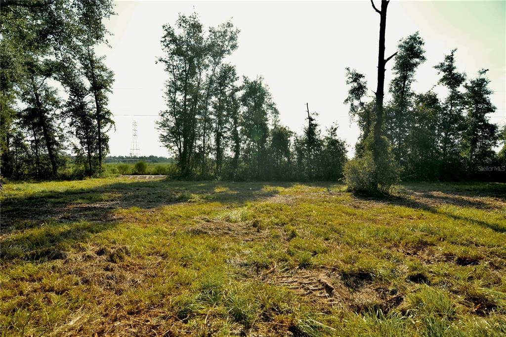 Property for sale at 00 SW 39TH AVE, JASPER, FL, 32052