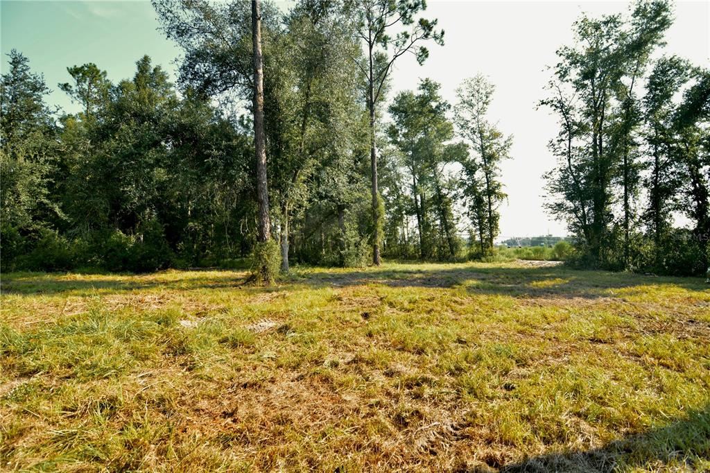 Property for sale at 00 SW 39TH AVE, JASPER, FL, 32052