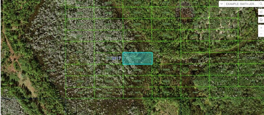 Property for sale at OLD GRADE RD, POLK CITY, FL, 33868