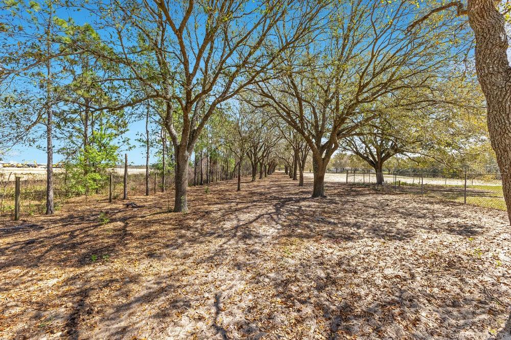 Property for sale at 4649 MEADOWLAND DRIVE, MOUNT DORA, FL, 32757