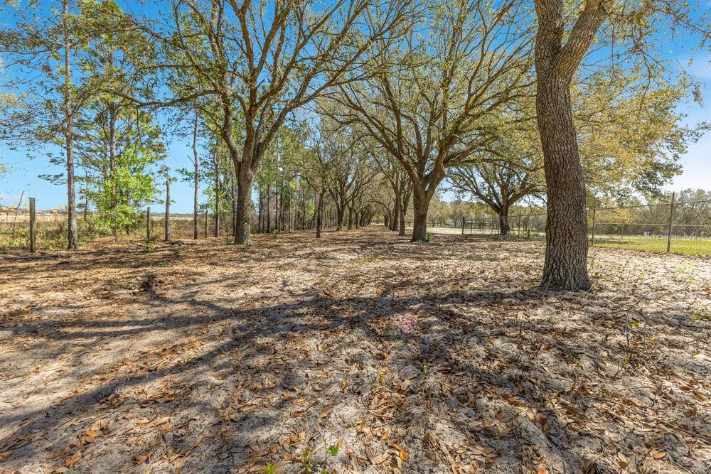 Property for sale at 4649 MEADOWLAND DRIVE, MOUNT DORA, FL, 32757