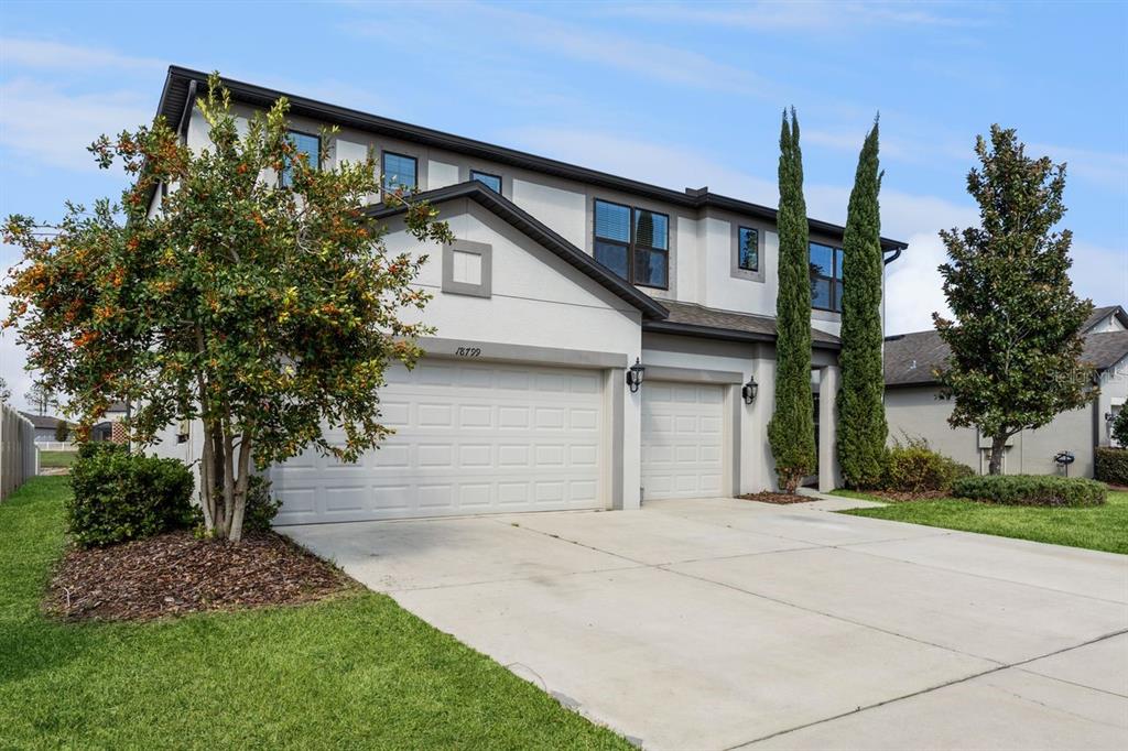 Entrance Curve Appeal