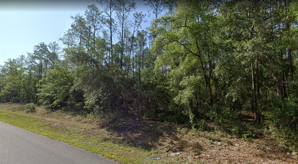 Property for sale at 546 E BIMINI DRIVE, DUNNELLON, FL, 34434