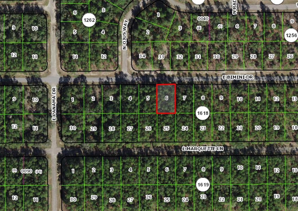 Property for sale at 546 E BIMINI DRIVE, DUNNELLON, FL, 34434