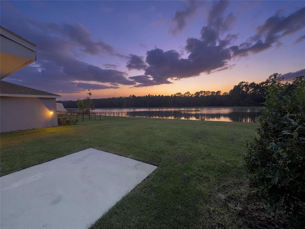 Pond Views