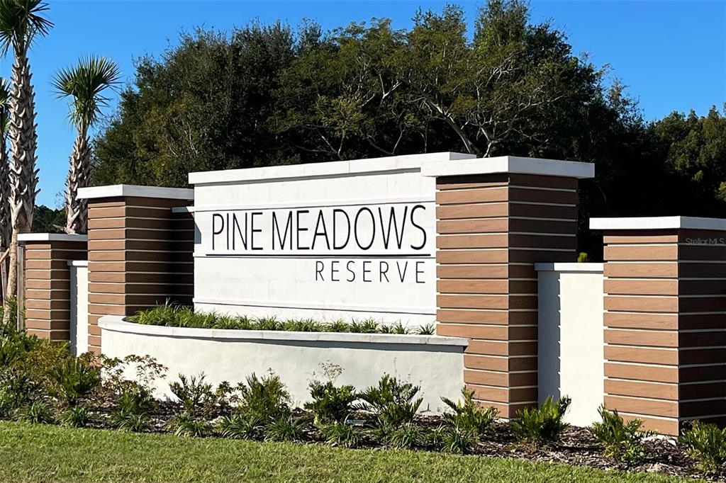 Property for sale at 2404 WILD HORSE WAY, EUSTIS, FL, 32726