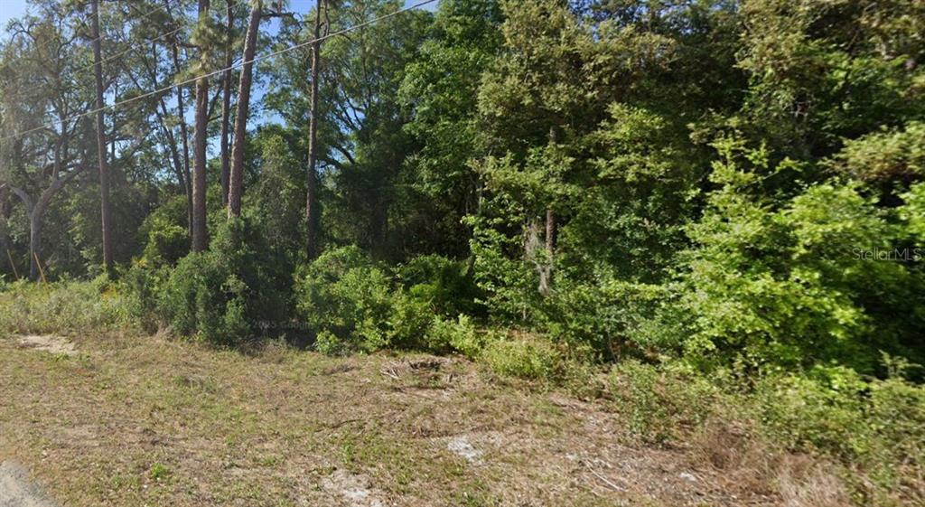Property for sale at SE 17TH LANE, OCKLAWAHA, FL, 32179