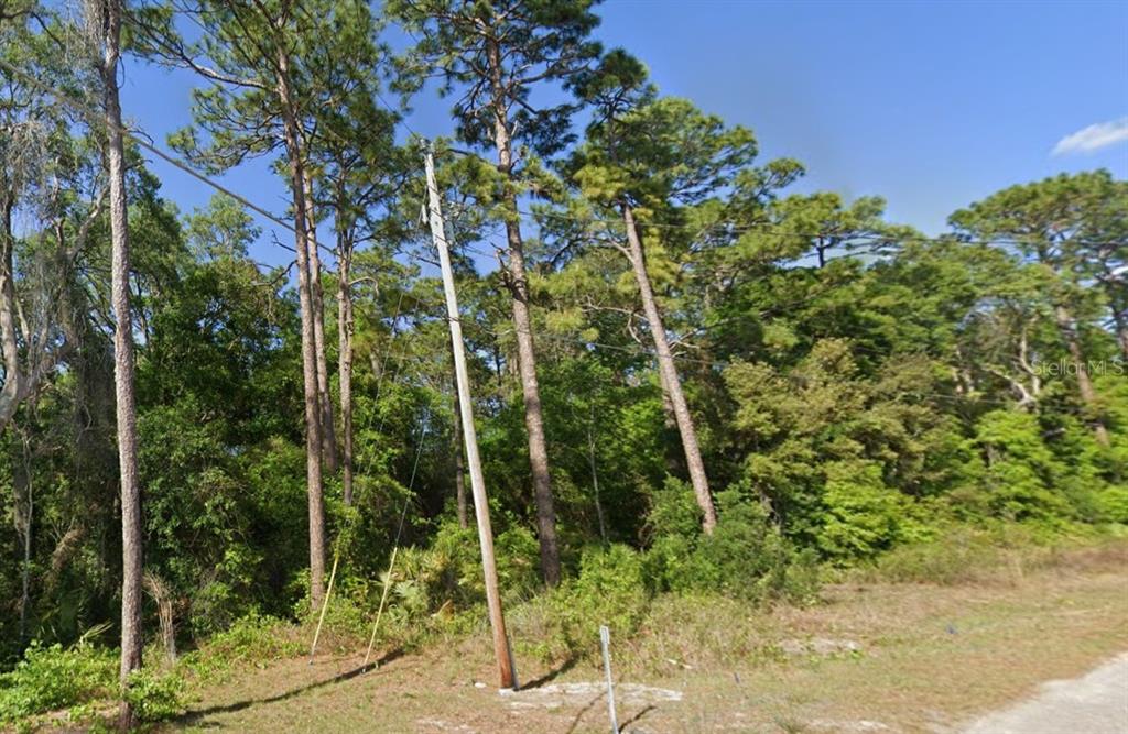 Property for sale at SE 17TH LANE, OCKLAWAHA, FL, 32179
