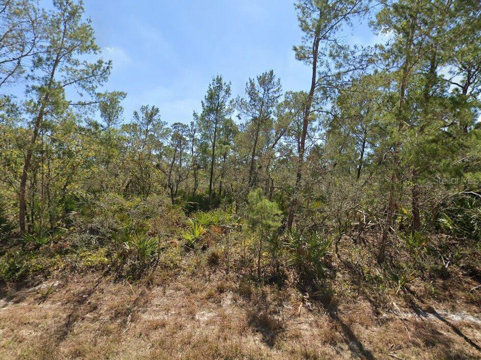 Property for sale at 3234 FLATBUSH AVENUE, LAKE PLACID, FL, 33852