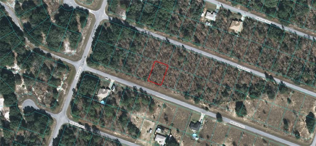 Property for sale at 00 MALAUKA RADIAL, OCKLAWAHA, FL, 32179