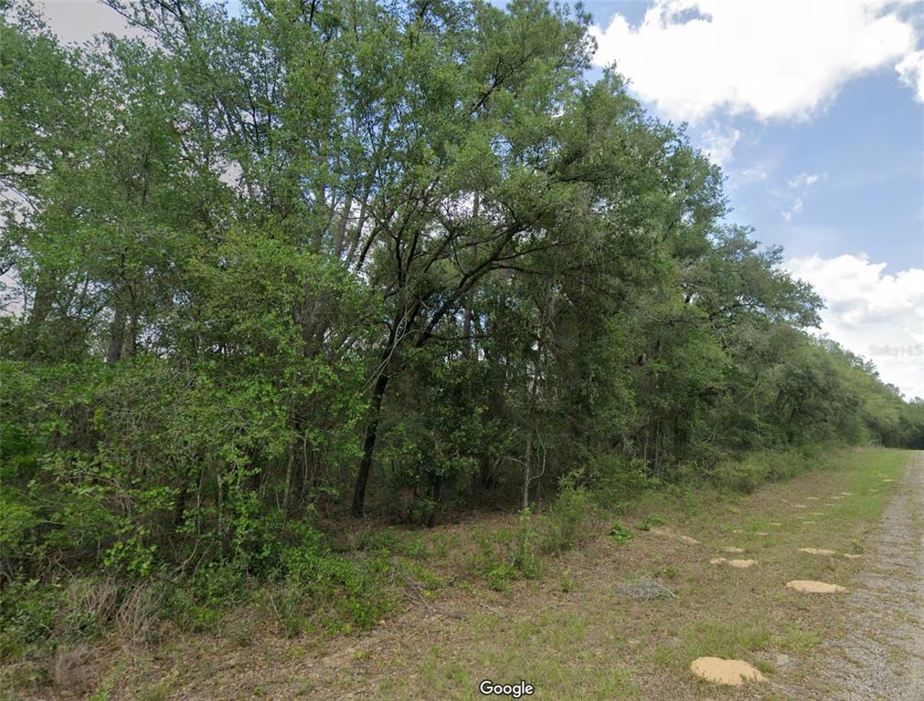 Property for sale at 737 E BYRD LOOP, DUNNELLON, FL, 34434