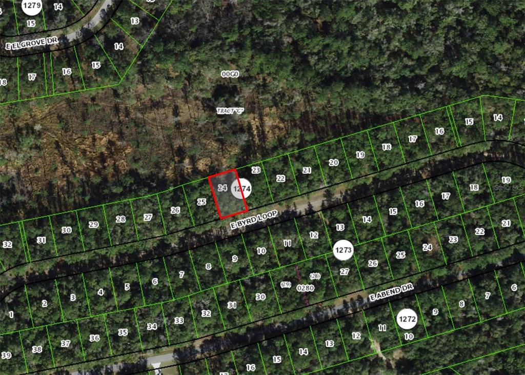 Property for sale at 737 E BYRD LOOP, DUNNELLON, FL, 34434