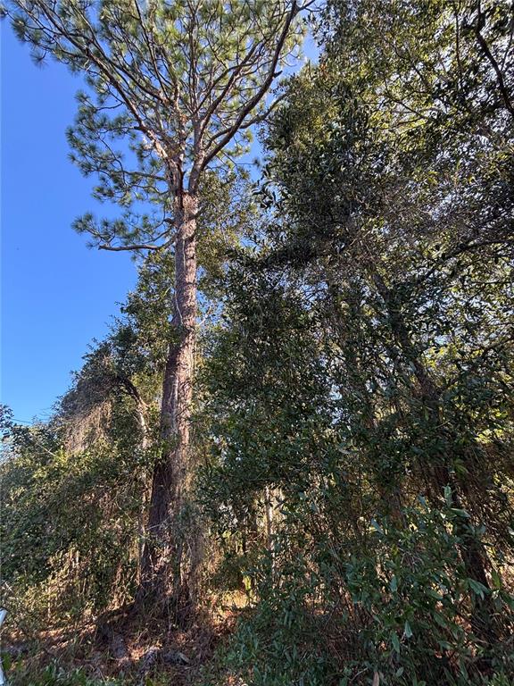 Property for sale at 14331 SE 85TH TERRACE, INGLIS, FL, 34449