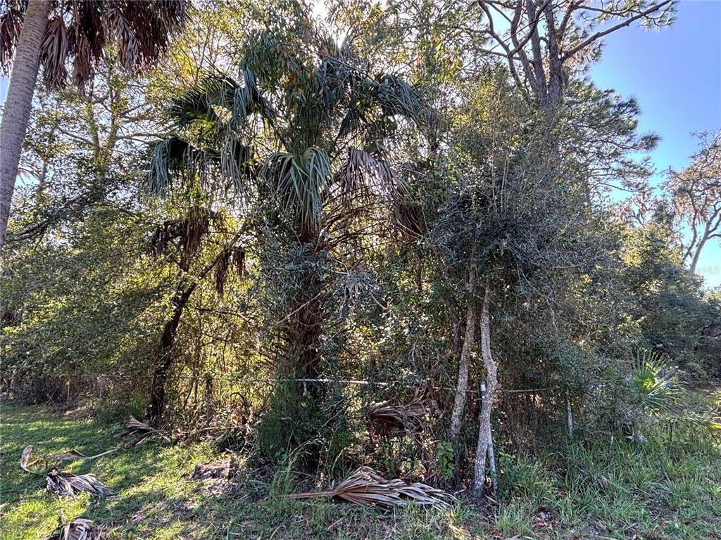 Property for sale at 14331 SE 85TH TERRACE, INGLIS, FL, 34449