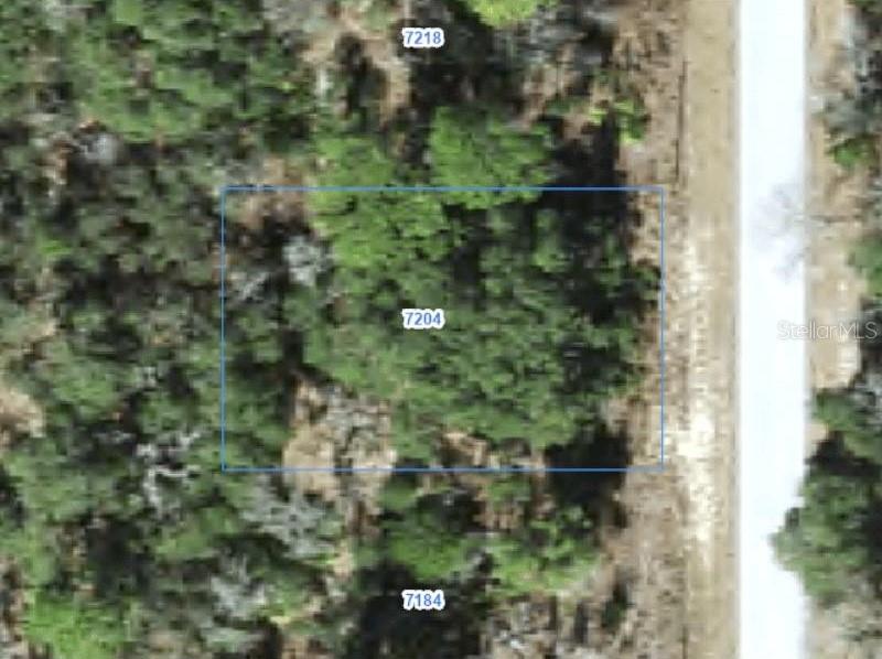 Property for sale at 7204 N RIPLEY DRIVE, CITRUS SPRINGS, FL, 34433