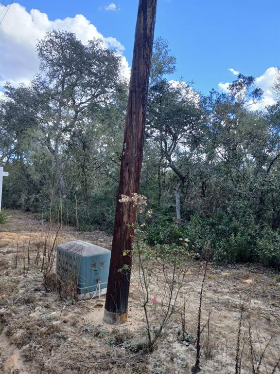Property for sale at TBD NE 234 TH PLACE Lots 19.20.21, FORT MC COY, FL, 32134