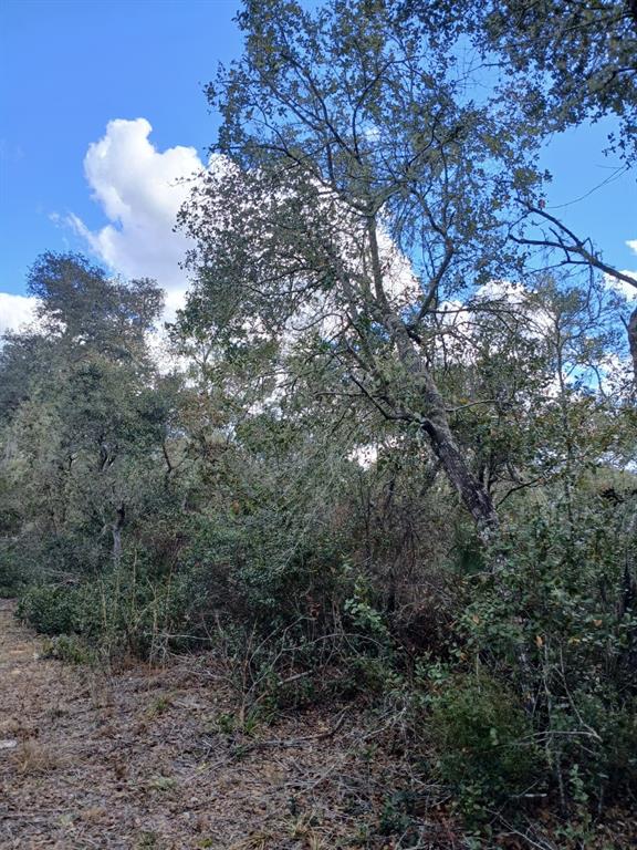 Property for sale at TBD NE 234 TH PLACE Lots 19.20.21, FORT MC COY, FL, 32134