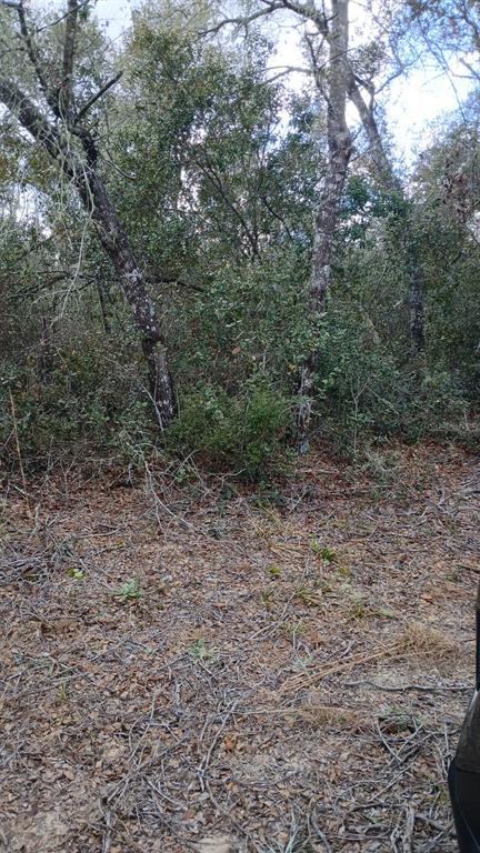 Property for sale at TBD NE 234 TH PLACE Lots 19.20.21, FORT MC COY, FL, 32134