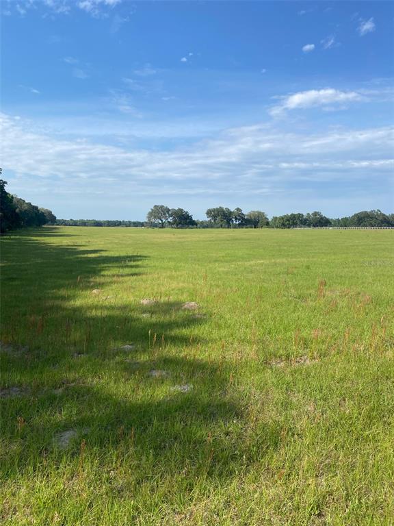 Property for sale at 0 NW 163 TERRACE, MORRISTON, FL, 32668
