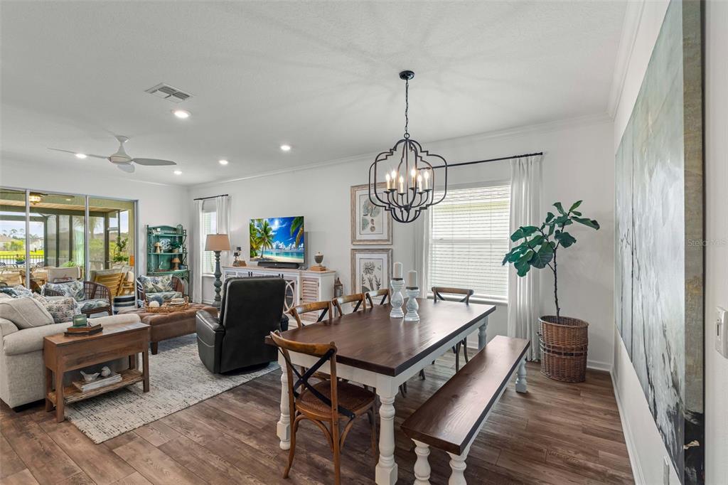 Main Living Space