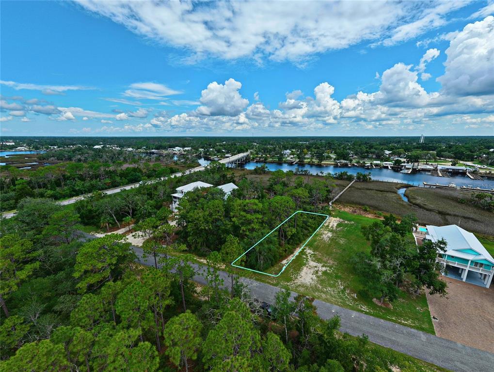 Property for sale at 85 SW 279TH AVENUE, STEINHATCHEE, FL, 32359