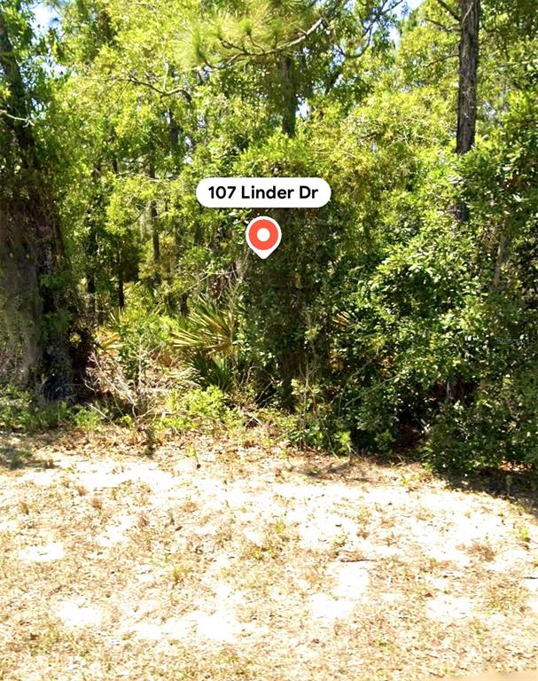Property for sale at 107 LINDER DRIVE, HOMOSASSA, FL, 34446