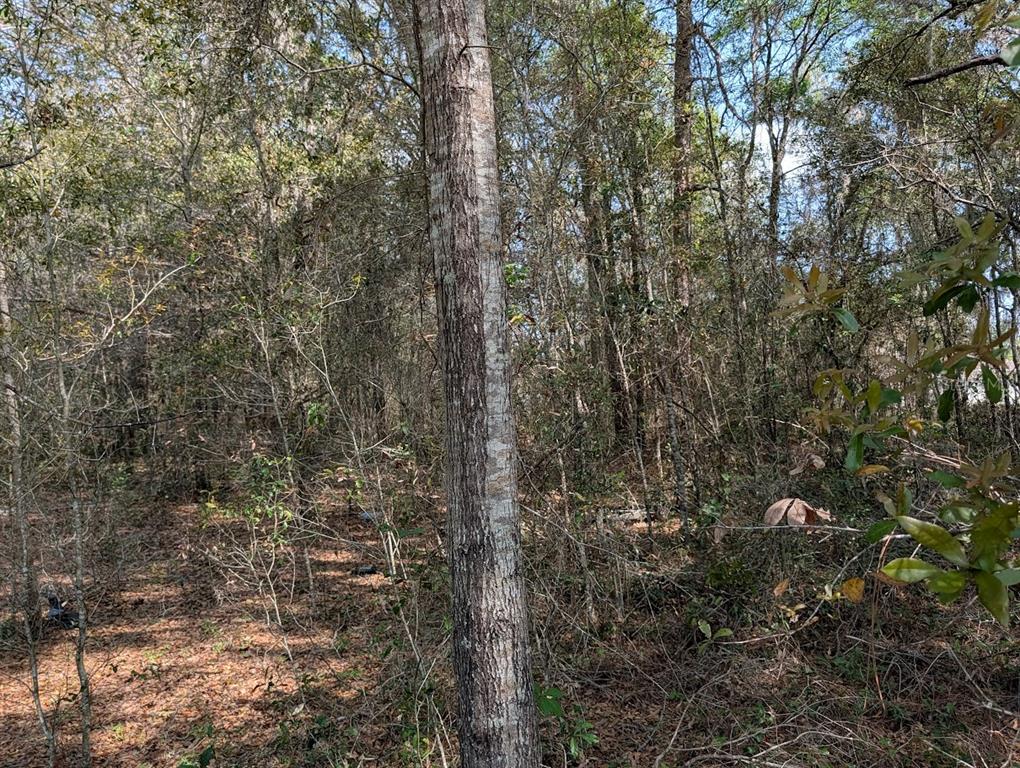 Property for sale at SW 30TH PLACE, OCALA, FL, 34481