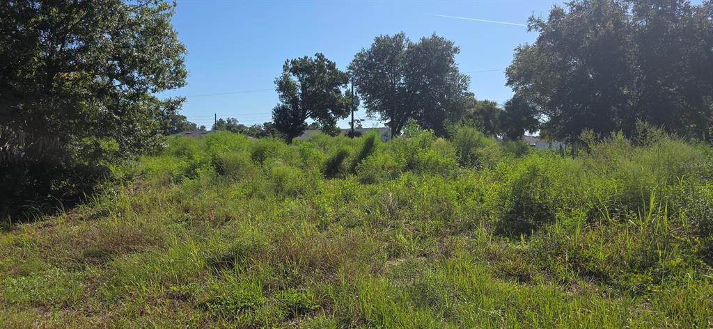 Property for sale at CHAMRADE ROAD, NORTH PORT, FL, 34288