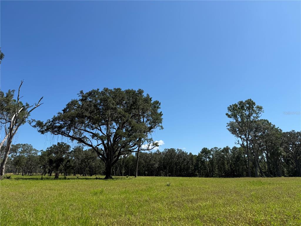 Property for sale at DR #5 (24ac) NW 193RD ST, MICANOPY, FL, 32667