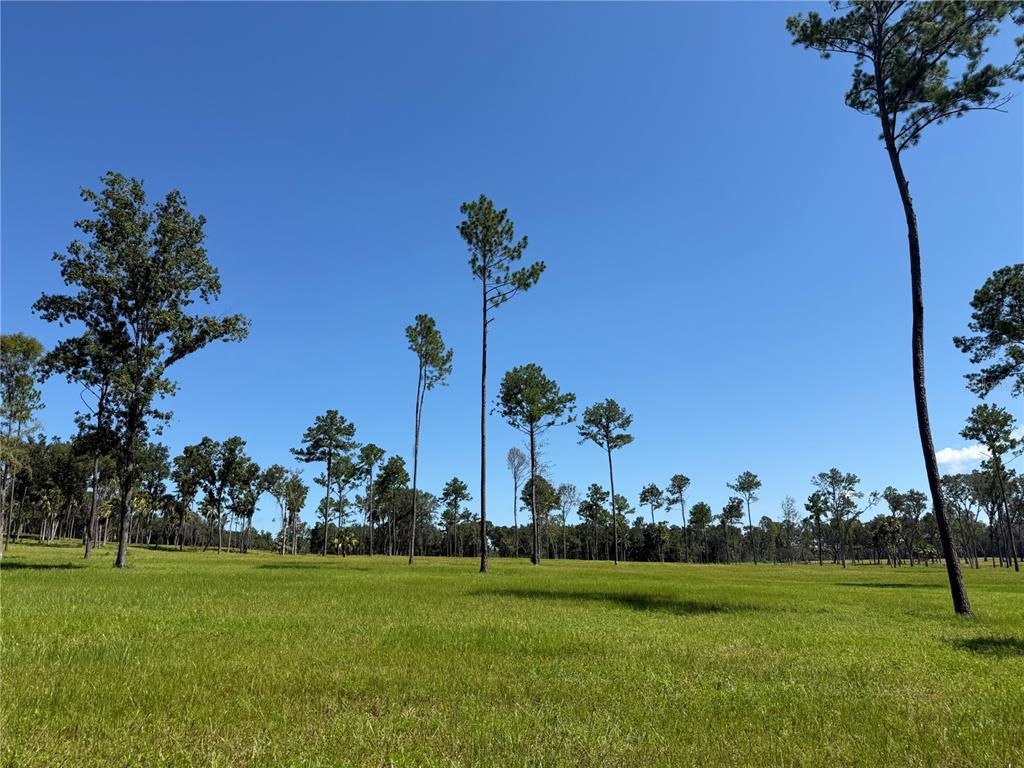 Property for sale at DR #5 (24ac) NW 193RD ST, MICANOPY, FL, 32667